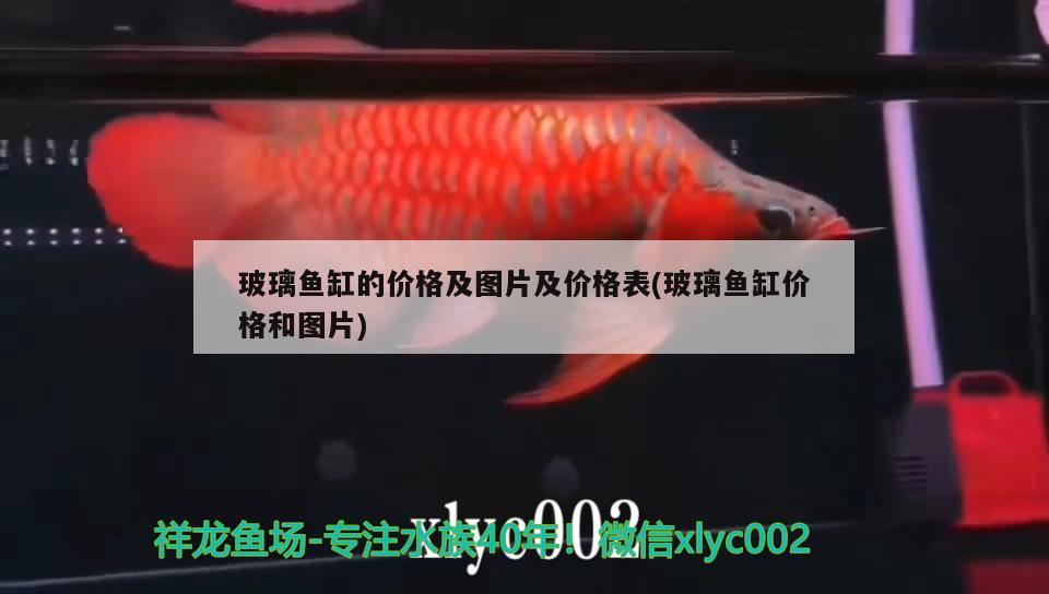 玻璃魚缸的價格及圖片及價格表(玻璃魚缸價格和圖片)