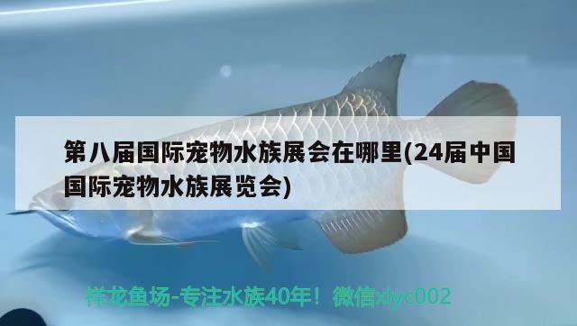 第八屆國際寵物水族展會在哪里(24屆中國國際寵物水族展覽會)