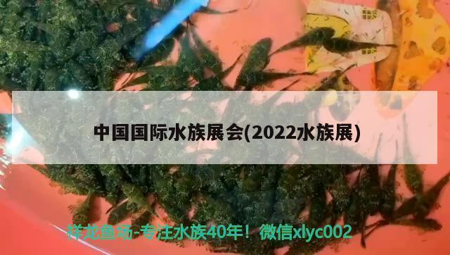 中國(guó)國(guó)際水族展會(huì)(2022水族展)