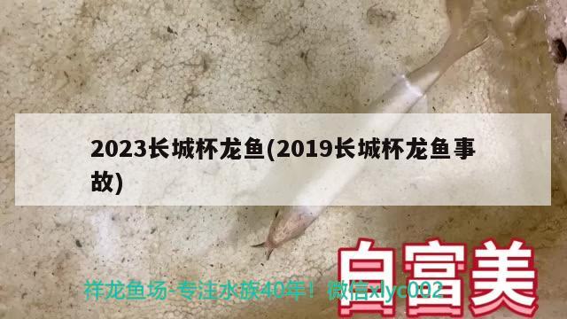 2023長(zhǎng)城杯龍魚(yú)(2019長(zhǎng)城杯龍魚(yú)事故)