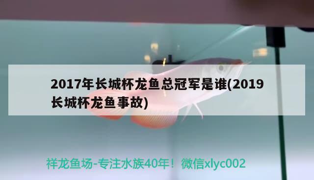 2017年長(zhǎng)城杯龍魚總冠軍是誰(shuí)(2019長(zhǎng)城杯龍魚事故)