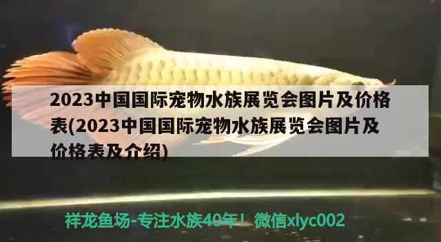 2023中國(guó)國(guó)際寵物水族展覽會(huì)圖片及價(jià)格表(2023中國(guó)國(guó)際寵物水族展覽會(huì)圖片及價(jià)格表及介紹)