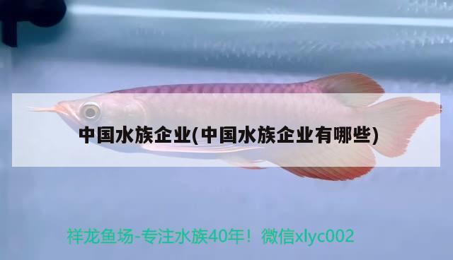 中國水族企業(yè)(中國水族企業(yè)有哪些) 2025第29屆中國國際寵物水族展覽會CIPS（長城寵物展2025 CIPS）