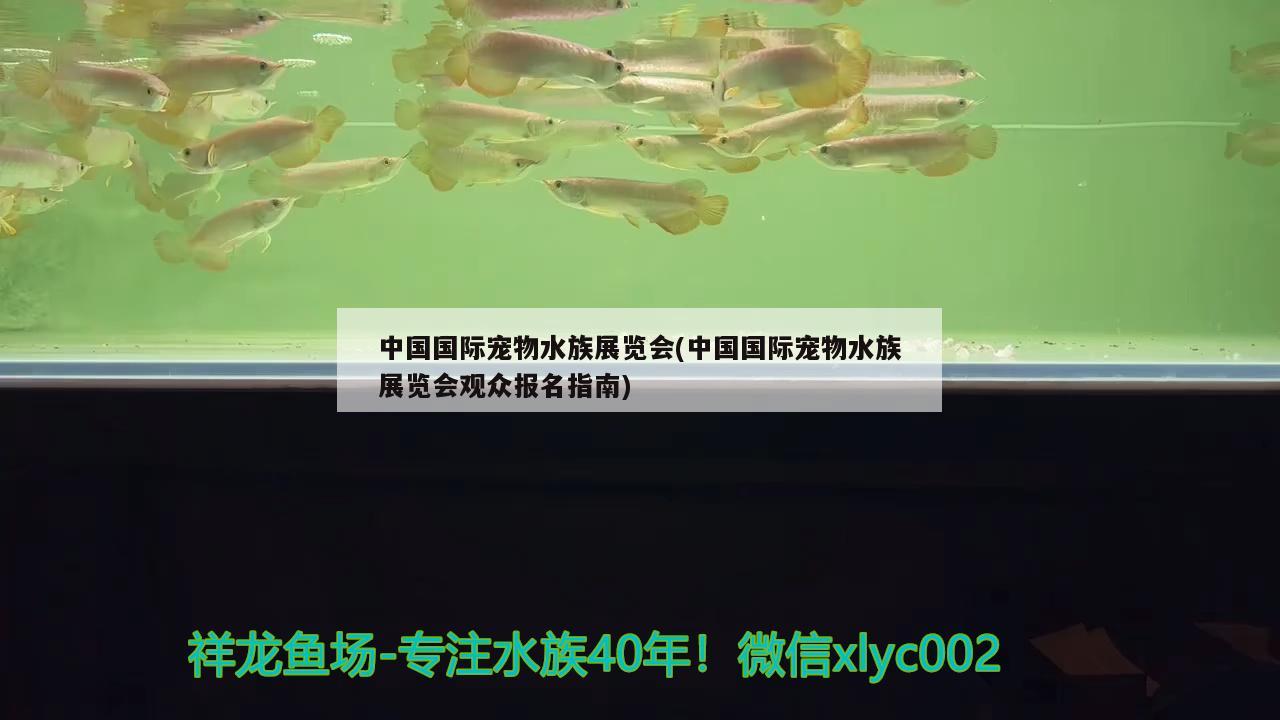 中國國際寵物水族展覽會(中國國際寵物水族展覽會觀眾報名指南) 水族展會