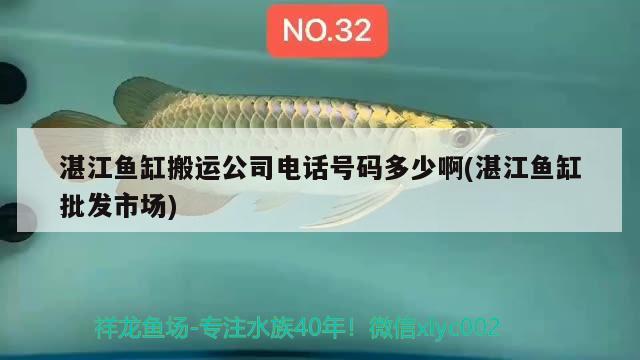 湛江魚缸搬運公司電話號碼多少啊(湛江魚缸批發(fā)市場) 肥料