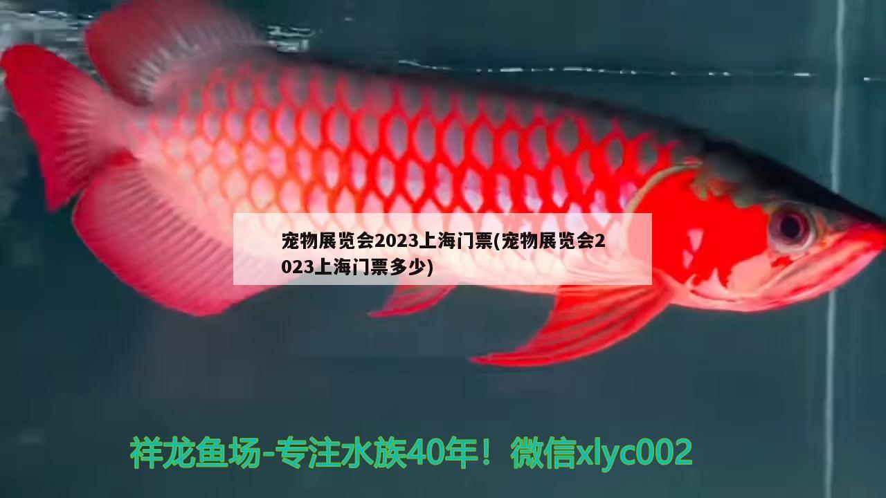 寵物展覽會2023上海門票(寵物展覽會2023上海門票多少) 2024第28屆中國國際寵物水族展覽會CIPS（長城寵物展2024 CIPS） 第1張