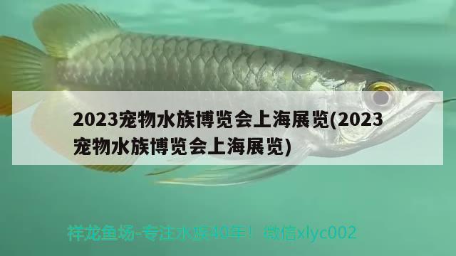 2023寵物水族博覽會(huì)上海展覽(2023寵物水族博覽會(huì)上海展覽)