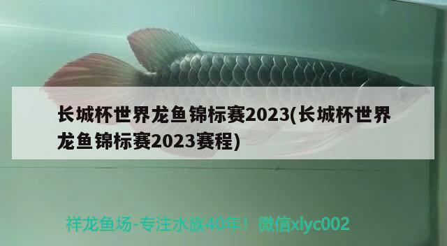 長城杯世界龍魚錦標(biāo)賽2023(長城杯世界龍魚錦標(biāo)賽2023賽程)