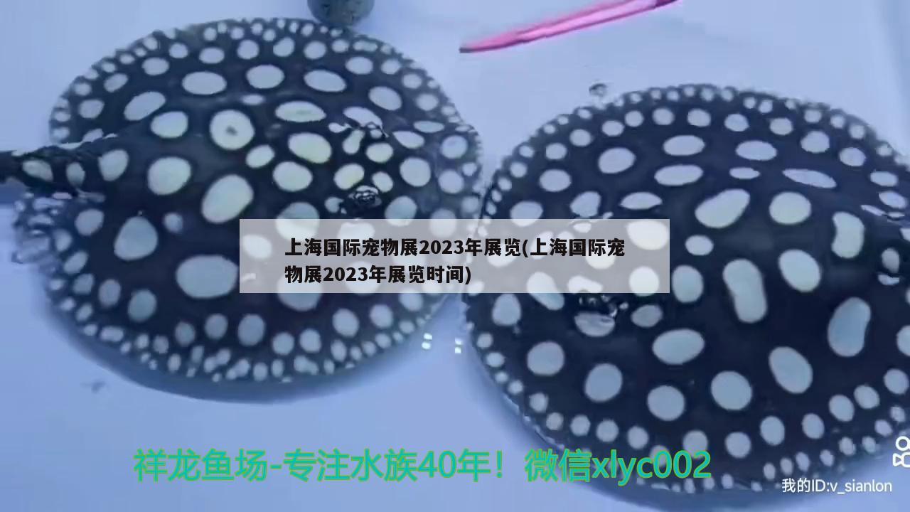 上海國(guó)際寵物展2023年展覽(上海國(guó)際寵物展2023年展覽時(shí)間)