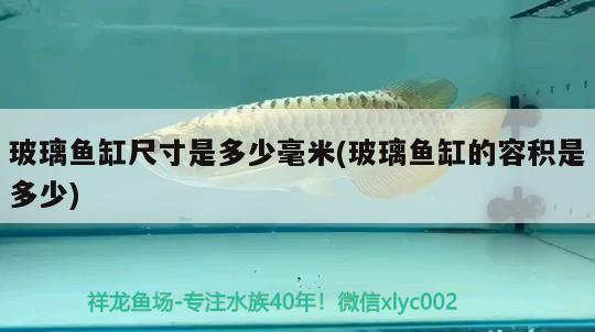 玻璃魚缸尺寸是多少毫米(玻璃魚缸的容積是多少)