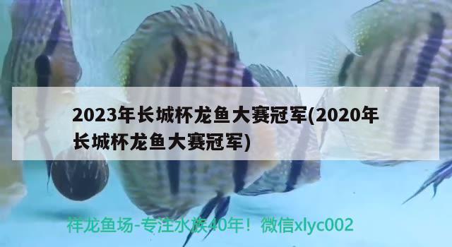 2023年長城杯龍魚大賽冠軍(2020年長城杯龍魚大賽冠軍)