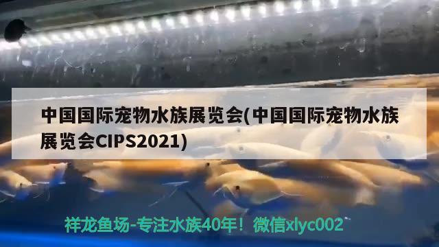 中國國際寵物水族展覽會(中國國際寵物水族展覽會CIPS2021) 水族展會