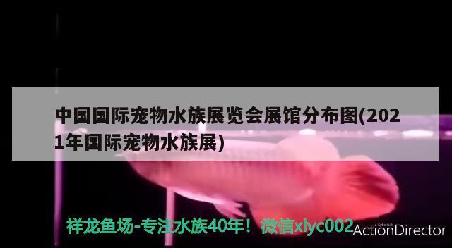 中國(guó)國(guó)際寵物水族展覽會(huì)展館分布圖(2021年國(guó)際寵物水族展) 水族展會(huì)