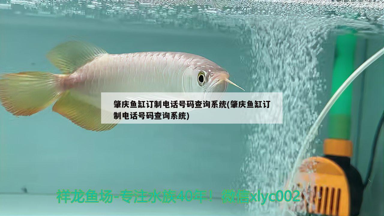 肇慶魚缸訂制電話號(hào)碼查詢系統(tǒng)(肇慶魚缸訂制電話號(hào)碼查詢系統(tǒng))