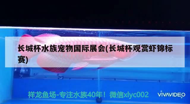 長城杯水族寵物國際展會(huì)(長城杯觀賞蝦錦標(biāo)賽) 2024第28屆中國國際寵物水族展覽會(huì)CIPS（長城寵物展2024 CIPS）