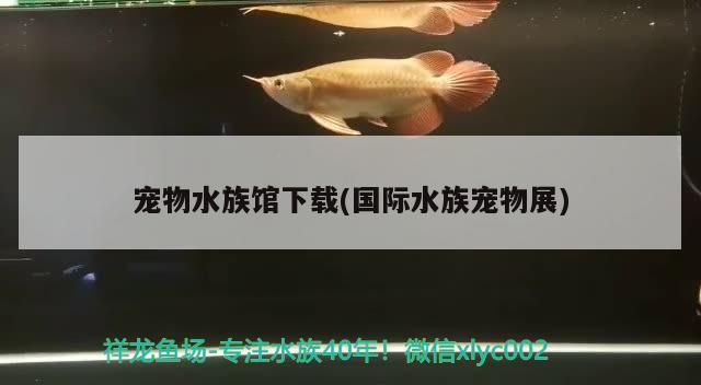 寵物水族館下載(國(guó)際水族寵物展) 2024第28屆中國(guó)國(guó)際寵物水族展覽會(huì)CIPS（長(zhǎng)城寵物展2024 CIPS）