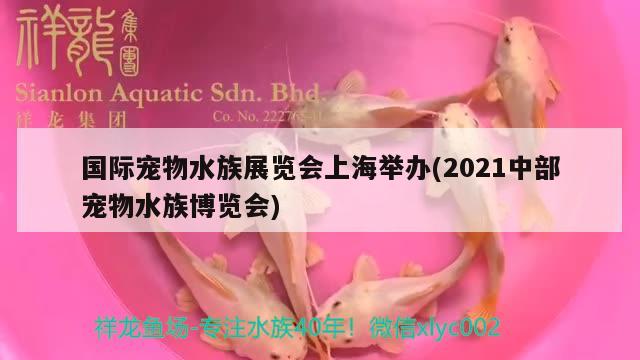 國際寵物水族展覽會(huì)上海舉辦(2021中部寵物水族博覽會(huì))