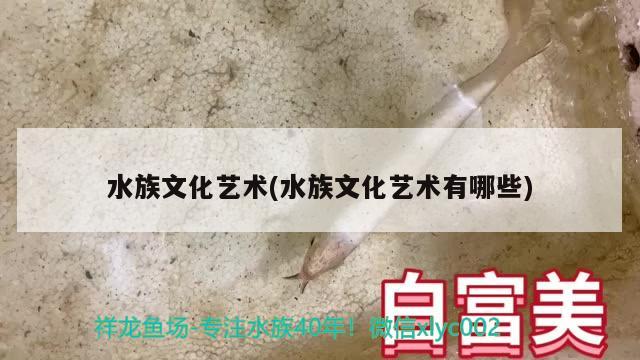 水族文化藝術(shù)(水族文化藝術(shù)有哪些) 2024第28屆中國國際寵物水族展覽會CIPS（長城寵物展2024 CIPS）