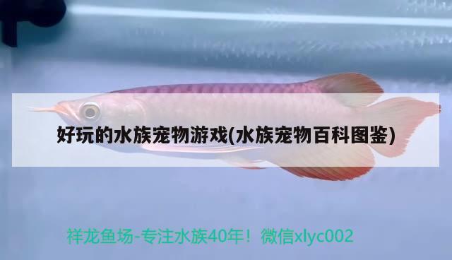 好玩的水族寵物游戲(水族寵物百科圖鑒) 2024第28屆中國國際寵物水族展覽會CIPS（長城寵物展2024 CIPS）