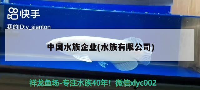 中國水族企業(yè)(水族有限公司)