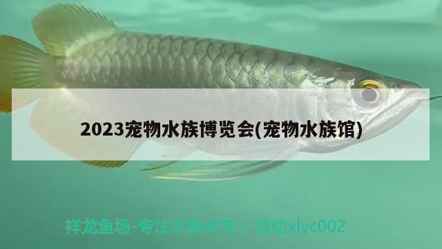 2023寵物水族博覽會(寵物水族館)