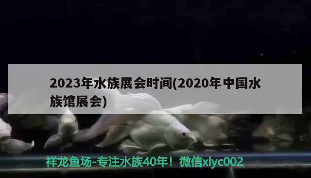 2023年水族展會時間(2020年中國水族館展會)