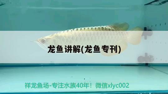 龍魚講解(龍魚專刊) 2025第29屆中國國際寵物水族展覽會CIPS（長城寵物展2025 CIPS）