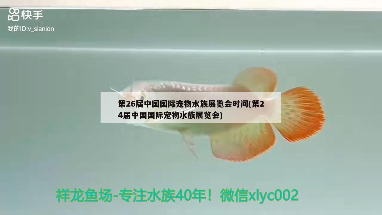 第26屆中國國際寵物水族展覽會時間(第24屆中國國際寵物水族展覽會)