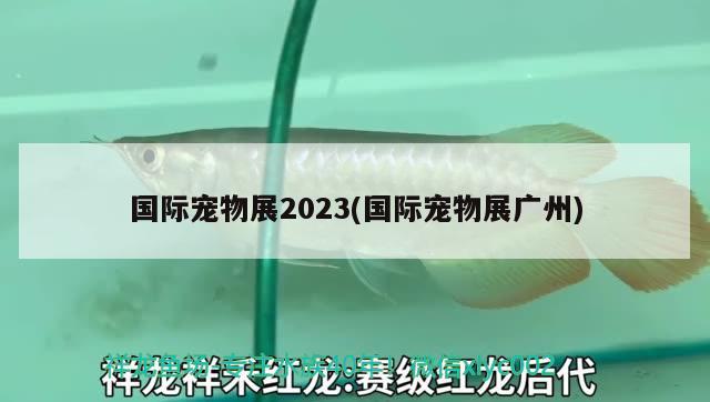 國(guó)際寵物展2023(國(guó)際寵物展廣州) 2024第28屆中國(guó)國(guó)際寵物水族展覽會(huì)CIPS（長(zhǎng)城寵物展2024 CIPS）