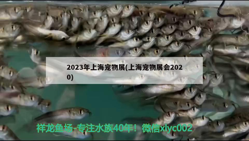 2023年上海寵物展(上海寵物展會2020) 2025第29屆中國國際寵物水族展覽會CIPS（長城寵物展2025 CIPS）