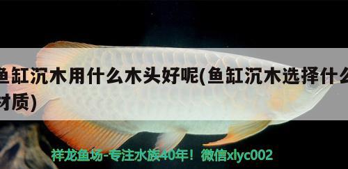 魚缸沉木用什么木頭好呢(魚缸沉木選擇什么材質(zhì))