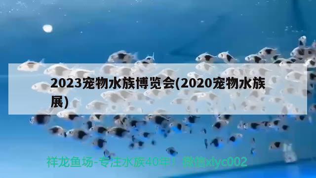 2023寵物水族博覽會(2020寵物水族展)