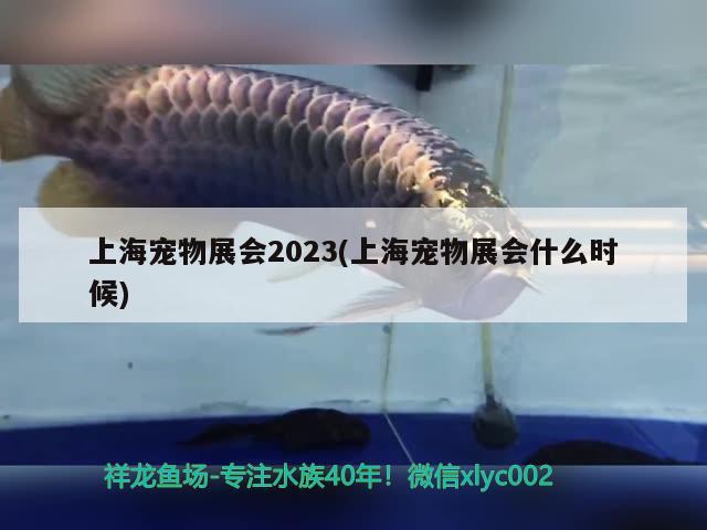 上海寵物展會2023(上海寵物展會什么時候)