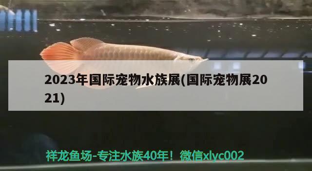 2023年國際寵物水族展(國際寵物展2021)