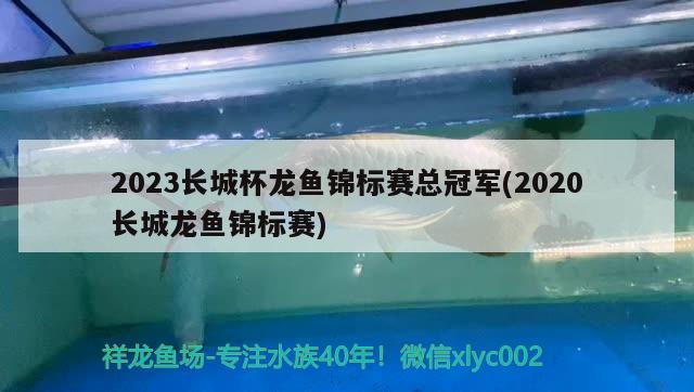 2023長城杯龍魚錦標賽總冠軍(2020長城龍魚錦標賽)