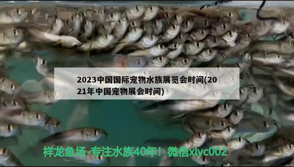 2023中國(guó)國(guó)際寵物水族展覽會(huì)時(shí)間(2021年中國(guó)寵物展會(huì)時(shí)間)