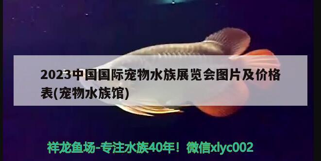 2023中國國際寵物水族展覽會圖片及價格表(寵物水族館) 水族展會