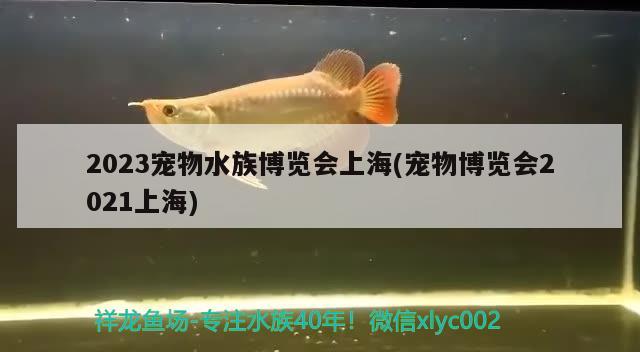 2023寵物水族博覽會(huì)上海(寵物博覽會(huì)2021上海)