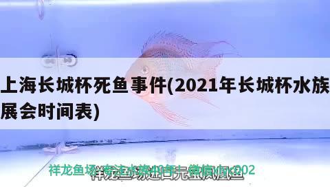 上海長城杯死魚事件(2021年長城杯水族展會時間表)