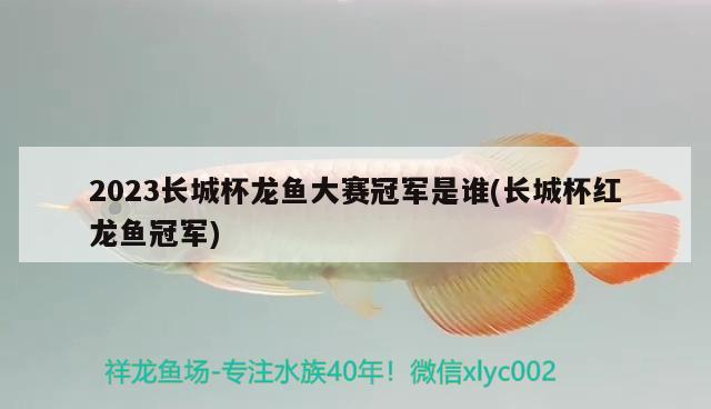 2023長城杯龍魚大賽冠軍是誰(長城杯紅龍魚冠軍)