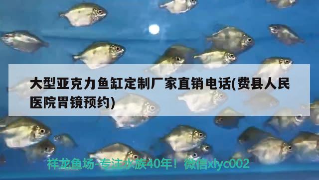 大型亞克力魚缸定制廠家直銷電話(費(fèi)縣人民醫(yī)院胃鏡預(yù)約)