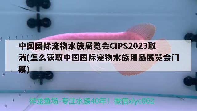 中國國際寵物水族展覽會CIPS2023取消(怎么獲取中國國際寵物水族用品展覽會門票) 水族展會