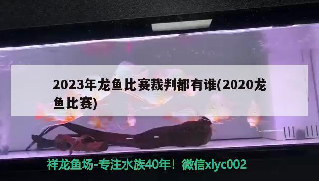 2023年龍魚比賽裁判都有誰(2020龍魚比賽) 2024第28屆中國國際寵物水族展覽會CIPS（長城寵物展2024 CIPS）