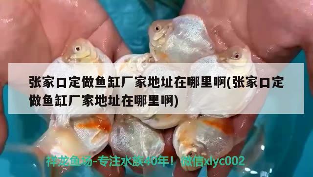 張家口定做魚缸廠家地址在哪里啊(張家口定做魚缸廠家地址在哪里啊)