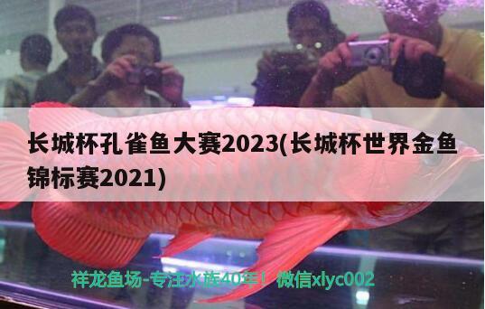 長城杯孔雀魚大賽2023(長城杯世界金魚錦標賽2021) 2024第28屆中國國際寵物水族展覽會CIPS（長城寵物展2024 CIPS）