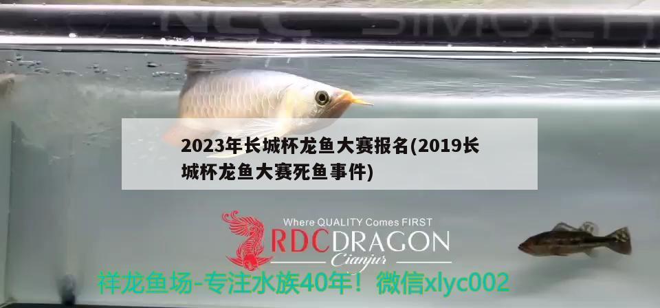 2023年長城杯龍魚大賽報(bào)名(2019長城杯龍魚大賽死魚事件) 2024第28屆中國國際寵物水族展覽會(huì)CIPS（長城寵物展2024 CIPS）