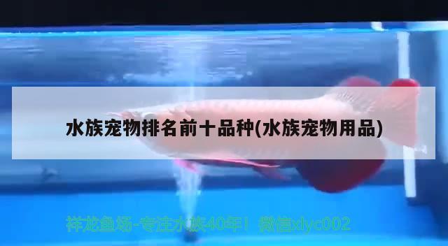 水族寵物排名前十品種(水族寵物用品)