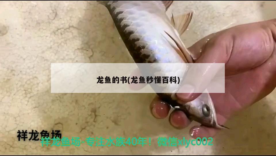 龍魚的書(龍魚秒懂百科) 2024第28屆中國(guó)國(guó)際寵物水族展覽會(huì)CIPS（長(zhǎng)城寵物展2024 CIPS）