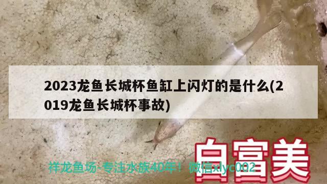 2023龍魚(yú)長(zhǎng)城杯魚(yú)缸上閃燈的是什么(2019龍魚(yú)長(zhǎng)城杯事故)