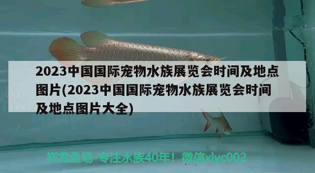 2023中國(guó)國(guó)際寵物水族展覽會(huì)時(shí)間及地點(diǎn)圖片(2023中國(guó)國(guó)際寵物水族展覽會(huì)時(shí)間及地點(diǎn)圖片大全)